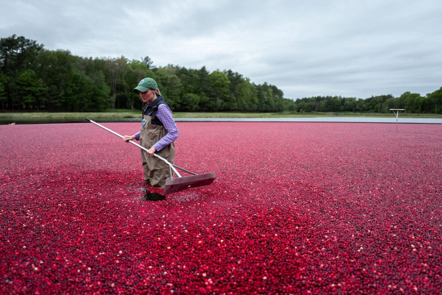 Ocean Spray touts Uber Freight as top 5 freight service provider