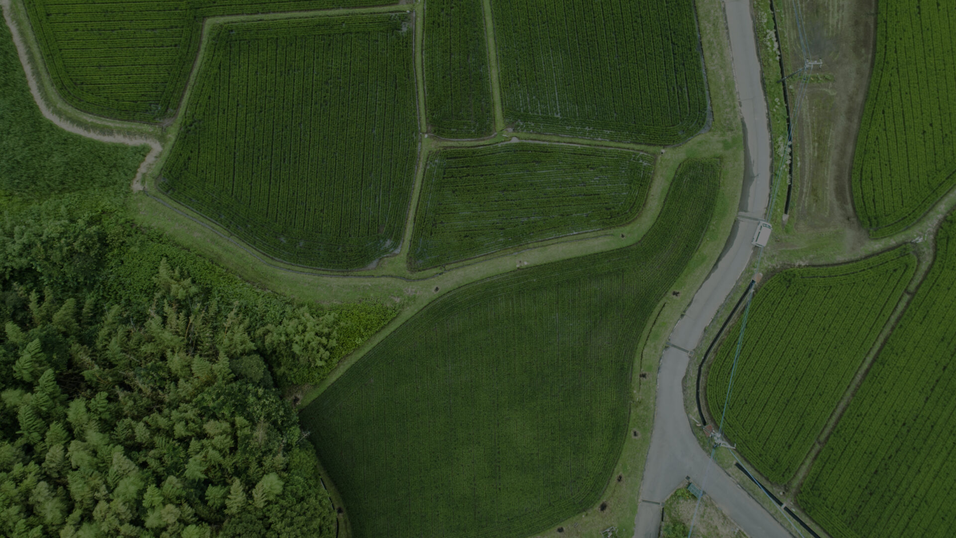 Ariel view of green fields